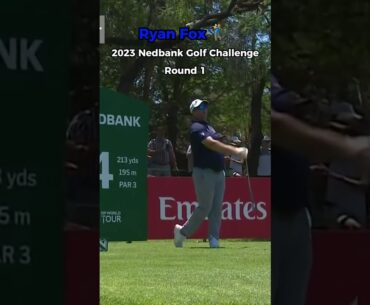 Ryan Fox 🎯 2023 Nedbank Golf Challenge | Round 1 | Hole 4 #golf #golfhighlights #golfswing
