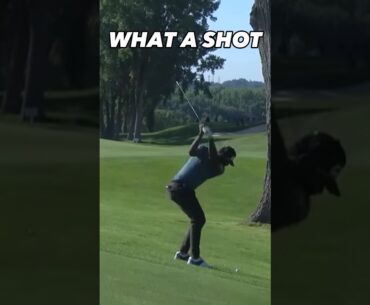 INSANE SHOT BY THEEGALA🤯 #golf #golfshorts #dope #viral #pga #pgatour