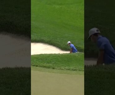 Get in the HOLE! 🙌