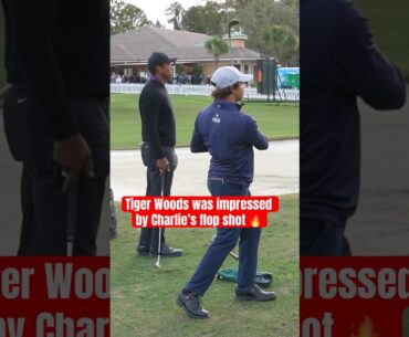 How would you feel if Tiger Woods said this about one of your shots? 👏