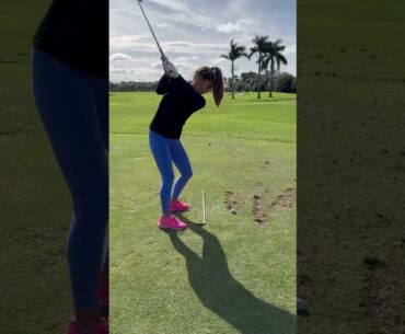 Critique My Swing⬇️⬇️
