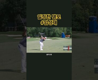 군더더기없이 일정한 템포 아이언샷 #임성재