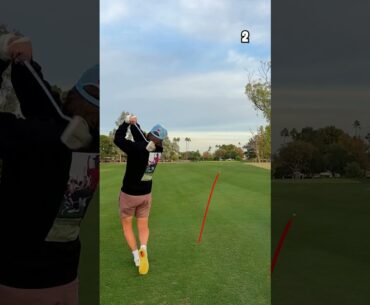 My Subscribers Chose My Golf Clubs!!