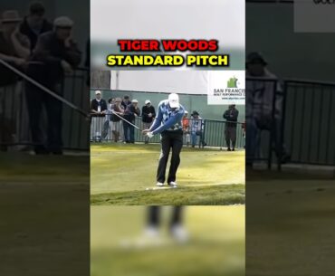 What can we learn from Tiger Wood’s and Luke Donald’s pitch shots?🤔 #shorts