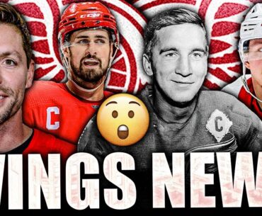 LOTS OF BIG RED WINGS NEWS: DAVID PERRON APPEALING SUSPENSION, DYLAN LARKIN UPDATE + LUCAS RAYMOND