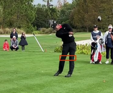 Quel Tiger Woods en 2024 ? - Golf - Analyse