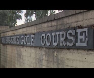 Number of stray dogs surging in Stockton