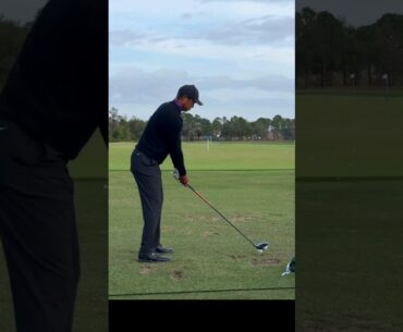 Tiger Woods Punch Draw Driver Swing #golf #tigerwoods