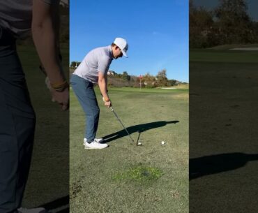 A little green side sauce #golfshorts #golflife #golfer up and down to www.acegalleryclub.com