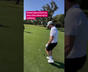 Thomas Pieters is a man of many talents.