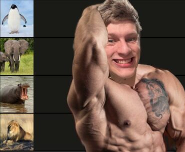 Animals I can beat in a fight