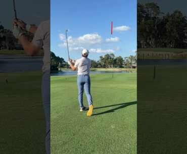 Did I Make A Hole In One? #golf #golfersdoingthings #golfswing #golfhole