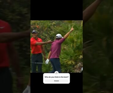 👑Charli and Tiger the GULF king 👑#gulf #sports #shortsfeed #shorts #tranding