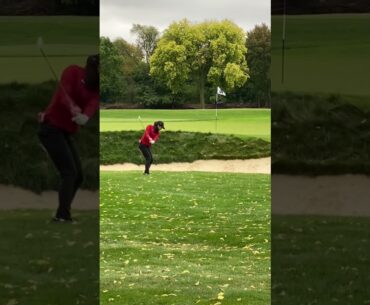 #golfswing #fyp #followthrough #waitforit