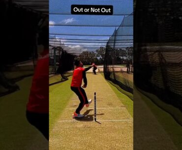 Out or Not Out #foryou #foryoupage #hbmamun #wow #cricket #cricketlover #rashidkhan