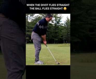 Do You Find To Be True? #Golf #shorts