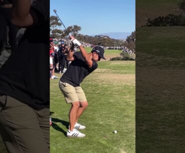 Xander Schauffele golf swing motivation!  #golf #golfshorts #golfswing #subforgolf #alloverthegolf