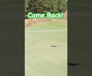 Tobacco Road. #mikestrantz #blackbirdiegolf #tobaccoroad #ncgolf