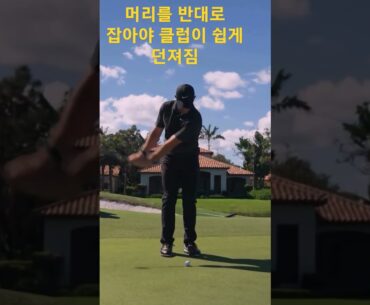 로리 스윙 어프로치 머리를 반대로 움직여라 클럽이 던져질 것 #로리맥길로이 #어프로치샷