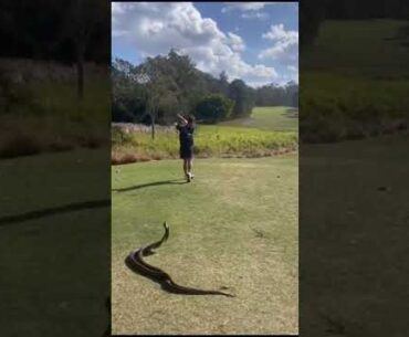 Good reason to play the forward tee?