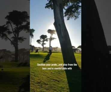 Golfing with Strangers at Harding Park...#shorts #pride #golf #sports #sanfrancisco