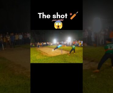 WTF 😃 অবিশ্বাস্য শট 🏏😱#cricket #viral #ytshorts #youtubeshorts #shortsfeed #shorts #tranding #sports