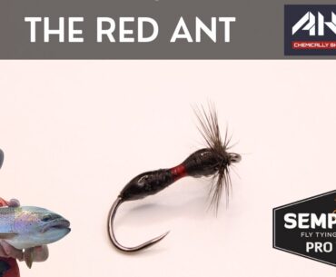 Fly Tying Tutorials The Red Ant
