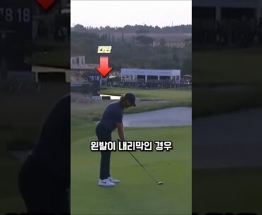 슬라이스 라이인데 탑볼로 나락 직전, 간판이 살렸다 #토미플릿우드
