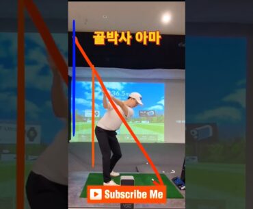 Top PGA 프로와이 백스윙 비교😉😘 #임성재 #PGA #타이거우즈 #로리맥길로이 #골프 #백스윙 #golf #golfswing #골프연습