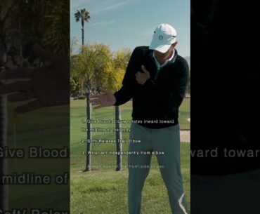 Trail Elbow Dynamics #golf #golfswing #golflesson