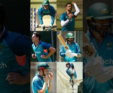 MITCHELL STARC 🔥| PAT CUMMINS 💥| STEVE SMITH ✨| CAMERON GREEN 💥| AUSTRALIAN CRICKET TEAM 🇦🇺| LYON 🏏