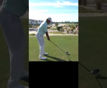 Tiger Woods Driving The Golf Ball At Hero 2023 #golf #tigerwoods #shorts