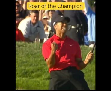 Roar of the Champion #golf #short