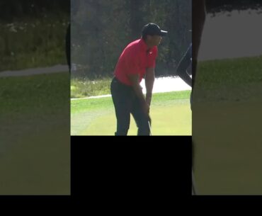Charlie & Tiger Woods Making A Great Team PNC 2023 #golf #tigerwoods #shorts