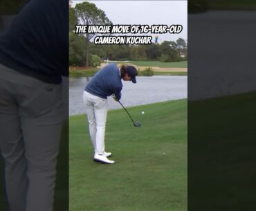 Describe this swing in 3 words.