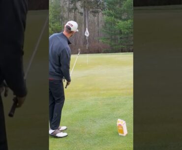 The secret to hitting better chip shots.... Eggnog #golf #shorts