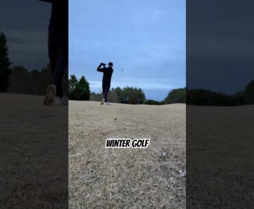 winter golf #shorts #golf