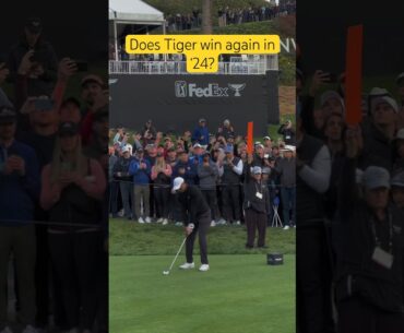Do you think Tiger can win again with the new wave of talent? #explore #golfwithpeter #reels #tiger