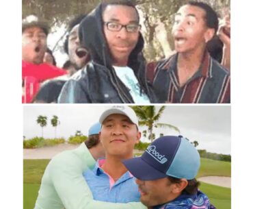 Same vibes.