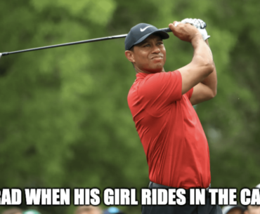 🐅🌲🌲🌲