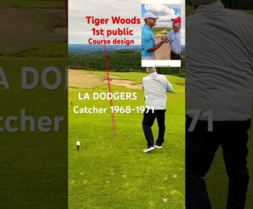 TIGER WOODS COURSE #shorts #golf #golfswing #tigerwoods #pga #golfcourse #golfer #golfswing