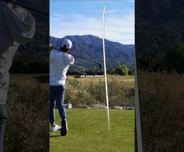 Scratch Golfer Plays the LADIES TEES