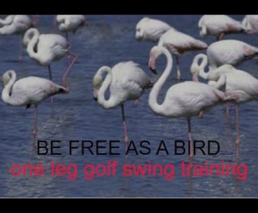 one leg golf swing training