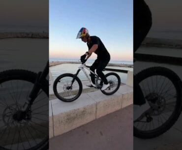 Wibmer's Law -Fabio Wibmer