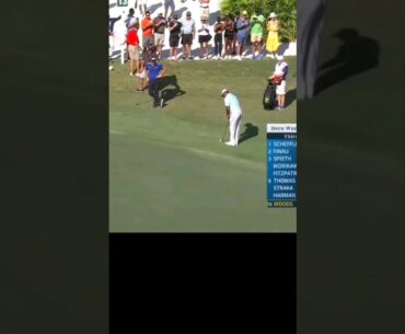 Tiger Woods Still The GOAT Of Getting Up And Down #golf #tigerwoods #shorts