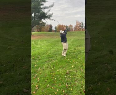 Swing Gofer Swing #golflife #golfshorts #golf #golfswing