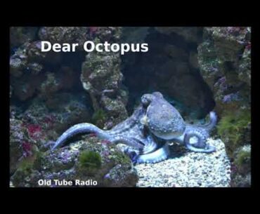 Dear Octopus by Dodie Smith