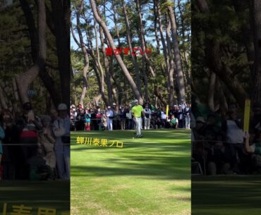 【蝉川泰果】マン振り凄すぎ！ダンロップフェニックス2023これぞプロ！　#ゴルフ #ゴルフスイング #ゴルフ初心者 #ゴルフアイアン #shorts #shorts