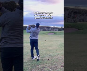 @takomogolfcompany wedges coming in clutch! #golf #golfskill #golfer #golfswing #golfing