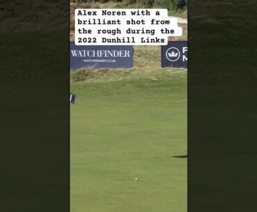 Alex Noren with a great shot from the rough during the 2022 #dunhilllinks